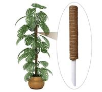Monstera Tuteur de Mousse pour - 30 cm/40 cm/50 cm - Cocotier Naturel + bâton de Mousse de Bois - Entraînez Les grimpantes d'intérieur à Pousser Le Haut - Totem de Coco Coir