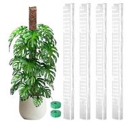 Monstera Tuteur Vertical pour Soutenir la Croissance des | Monstera Support pour grimpantes - pour l'intérieur et l'extérieur, Jardins, vérandas, pelouses, balcons,