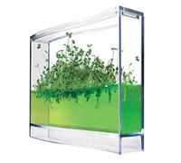 MonsterCadeaux Écosystème gélifié pour Fourmis, Terrarium, Antquarium, Super Forest Ant