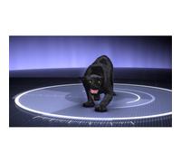 Monsterquest: Lions in The Backyard