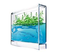 Monsterzeug Gel écosystème pour fourmis terrarium Antquarium Super Forest Ant avec graines de plantes et loupe