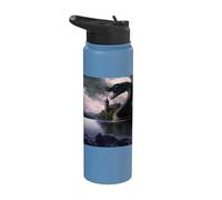 Monstre du Loch Ness devant un château Stainless Steel Insulated Water Bottle