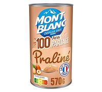MONT BLANC - Crème Dessert Au Praliné 570G - Lot De 4