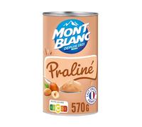 MONT BLANC - Crème Dessert Gourmande au Praliné, Texture Fondante et Saveur Intense (Boîte 570 g) - Lot de 4 - vendu par Lot