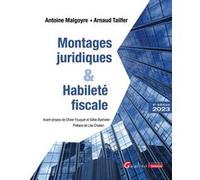 Montages juridiques et habileté fiscale Antoine Malgoyre (Auteur), Arnaud Tailfer (Auteur)