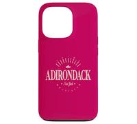 Montagnes des Adirondacks New York Modern - The Adirondacks NY Coque pour iPhone 13 Pro