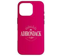 Montagnes des Adirondacks New York Modern - The Adirondacks NY Coque pour iPhone 16 Pro