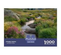 Montagnes et rivières Puzzle Adulte 1000 Défis (Niveau Avancé) Montagnes élevées L'Excellence du Challenge : Un Jeu Éducatif Et Stimulant pour Adultes Et Adolescents Dès 14 Ans 70x50cm/100