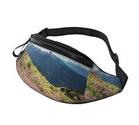 Montagnes Taille Pack Fanny Packs pour Hommes Femmes Taille Sac avec Sangle réglable pour Courir Voyage randonnée Chien Marche entraînement