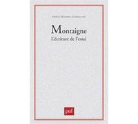 Montaigne. L'écriture de l'essai Gisèle Mathieu-Castellani (Auteur)