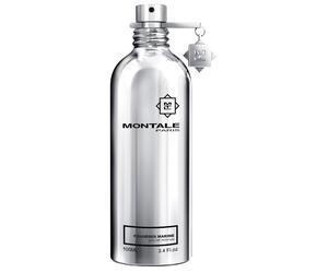 MONTALE PARIS - Fougeres Marine - Eau de Parfum Unisexe 100 ml
