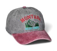 Montana Big Sky Country Casquette de Baseball Vintage en Coton délavé à Bord incurvé réglable pour Homme et Femme Golf Randonnée, Bordeaux/Gris, Taille Unique