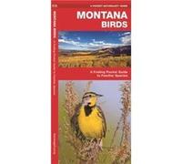 Montana Birds A Folding Pocket Guide to Familiar Species by Illustrated by Dr Raymond Leung James Kavanagh Kavanagh, James (Auteur)