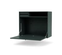 Montana Bureau mural STUDIO black jade 163