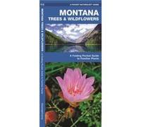 Montana Trees amp Wildflowers A Folding Pocket Guide to Familiar Species by Illustrated by Dr Raymond Leung James Kavanagh James Kavanagh (Auteur)