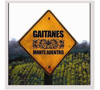 Monte Adentro