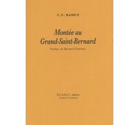 Montée Au Grand-Saint-Bernard