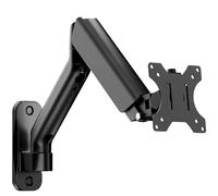 monTEK Support mural pour écrans plats/incurvés de 17 à 32" Charge maximale 9 kg