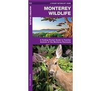 Monterey Wildlife A Folding Pocket Guide to Familiar Species of the Monterey Peninsula by Illustrated by Dr Raymond Leung James Kavanagh Illustrated by Dr Raymond Leung James Kavanagh (Auteur)