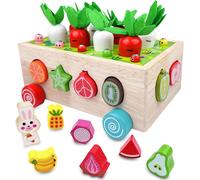 Montessori 1 Year Old Educational Games for Baby Toys,Girl Baby Motor Skills,Educational Wooden Carrot Game Sorting Farm,Colourful Farm,Birthday Learning Gift