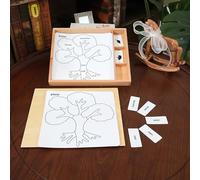 Montessori Ensemble d'activités de qualité supérieure - PEC - Cartes en 3 parties pour l'anatomie des plantes, boîte de rangement en bois de hêtre avec cartes, image et étiquette, matériel