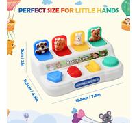 Montessori Pop-up Toy Animals and Colors for Baby 12 Months,Animal Sorting Toys,Effect Cause Toy for Girl and Boy