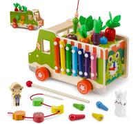 Montessori Toy from 1 2 3 4 Years Old 10 in 1 Wooden Sorting Toy Stackable Toy Plant Theme Motor Skills Gift for Girls Boys Kids Baby