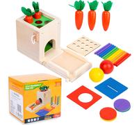 Montessori Toys,4 in 1 Wooden Educational Toys,Sorting Game,Educational Toy,for Children 1 2 3 4 5 Years Old Montessori Games,Christmas Gifts Kids Birthday