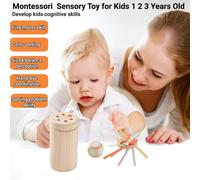 Montessori Toys for 1 2 3 Year Old,Wooden Sensory Toy for Toddlers 1-3 Years Old,6-12 Months Baby,Fine Motor Skill,Color Stick Sorting and Stacking Game