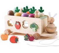 Montessori Wooden Toy for Ages 1,2,3 Years Old,Sorting Game,Wooden Puzzle,Carrot Harvest,Motor Skills Toy,Wooden Toy,Gifts for Boys and Girls