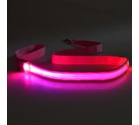 Montesy Lot de 4 laisses de chien LED rechargeables en nylon étanche avec poignée rembourrée pour la promenade nocturne