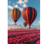 MontgolfièRe Diamond Painting Adulte 60x80cm, 5D Diamond Painting E-3357