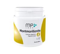 Montmorillonite Chat Chien