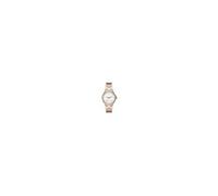 Montre Femmes Armani Exchange AX5258 - Quartz - Analogique - Bracelet Acier inoxydable Multicolore
