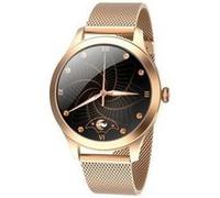 MAXCOMWATCHFW42GOLD