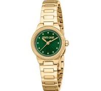 Montre Femme Roberto Cavalli RC5L117M0035