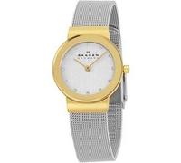 Montre Femme Skagen 358SGSCD Argent G