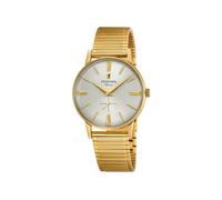 Montre FESTINA pour Homme F20251/1 Special Prices Boîtier en Acier Inoxydable Doré Bracelet en Acier Inoxydable Gris