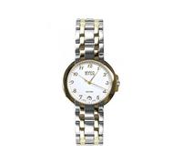 Montre Homme BWC Swiss 20774.52.03 Argent