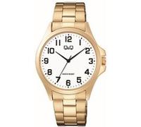 Montre Homme Q&Q C36A016PY bracelet