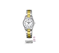 Montre homme Q&Q GENT DAY & DATE (Ø 40 mm)