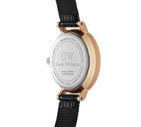 Daniel Wellington – Montre Petite – 24 mm – Acier inoxydable (316L) double plaqué – Or rose