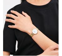 Daniel Wellington Montre Petite Roman Chiffres romains Bracelet 5 maillons Dorée