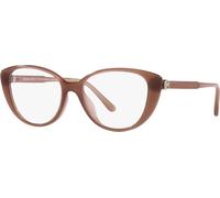 Monture de lunettes Michael Kors AMAGANSETT MK 4102U