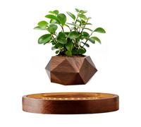 MOOCCI Pot de fleurs en lévitation avec lumière - Pot de fleurs flottant magnétique avec rotation et rotation automatique - Pot de fleurs en bois marron pour plantes grasses, décoration de bureau cool