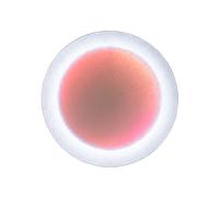 MoodMoon Round 60 Applique Murale Blanc
