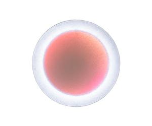 MoodMoon Round 60 Applique Murale Blanc