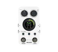 MOOER GL100 Pédale Looper, Effet Monobloc pour Guitare Électrique, Écran Tactile de 1,3 Pouces, Enregistrement Automatique avec 100 Positions de