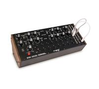 MOOG DFAM Synthétiseur Analogique de Percussion Semi-Modulaire | Séquenceur 8 Pas, Baie de Brassage 24 Points