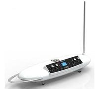 Moog THEREMINI